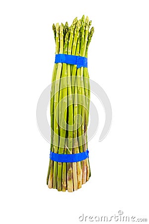One bunch asparagus. Stock Photo