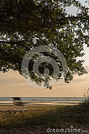 One camping chair stands empty on the ocean shore under the crown of a broad deciduous tree in summer Stock Photo
