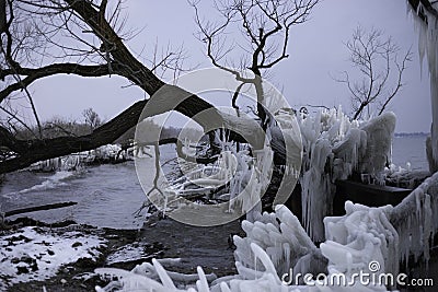 What Remains After The Ice Storm Stock Photo