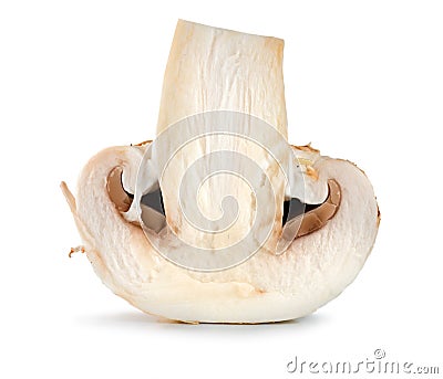 One champignon isolated Stock Photo