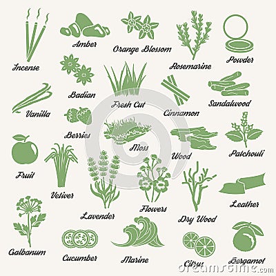 One color aromatic herbs and plants icons Vector Illustration