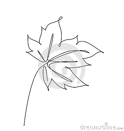 One continuous line drawing abstract tropic spring maple leaf. Minimal botany natural eco concept. Home wall decor, poster, tote Vector Illustration