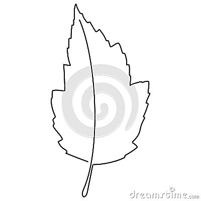 One continuous line drawing abstract tropic spring maple leaf. Minimal botany natural eco concept. Home wall decor, poster, tote Vector Illustration