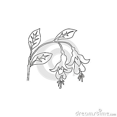 One continuous line drawing of beauty fresh fuchsia for home wall decor poster print art. Decorative shrubs flower plant concept Vector Illustration