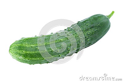 One Cucumber isolated on White Stock Photo