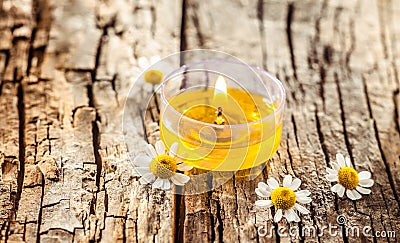 One decorative yellow candle or tea light Stock Photo