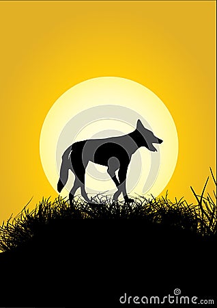 Silhouette of one dingo and yellow moon Vector Illustration