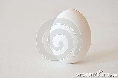 One egg Stock Photo