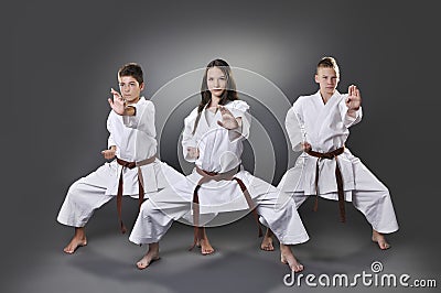 One female and two male brown belt karate doing kata Stock Photo