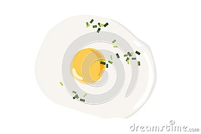 One fried egg with spring onion. Overhead view of isolated eggs. Vector illustration isolated on white background. Flat Vector Illustration