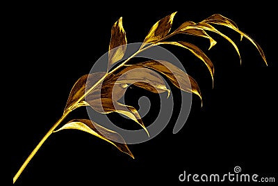 One golden leaves branch on black background isolated closeup, decorative gold color plant sprig, yellow shiny metallic twig Cartoon Illustration