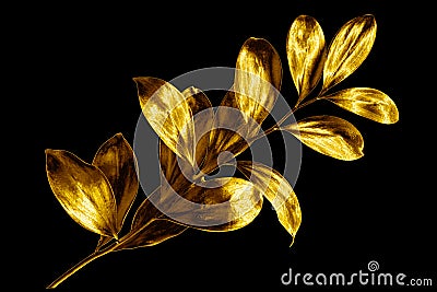 One golden leaves branch on black background isolated closeup, decorative gold color plant sprig, yellow shiny metallic twig Cartoon Illustration