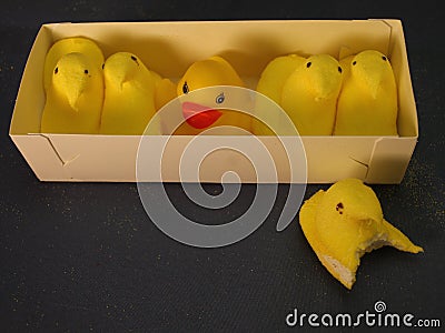 The one that almost got away - escape peep Editorial Stock Photo
