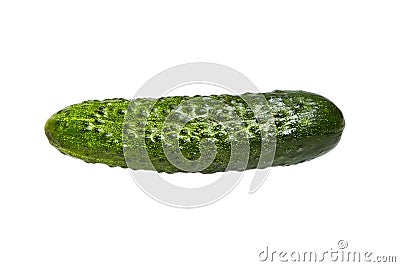 One green fresh gherkin isolated Stock Photo