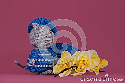 Amigurumi kitten doll on pink background next to yellow orchid flowers. A soft DIY toy made of cotton. One grey cat Stock Photo