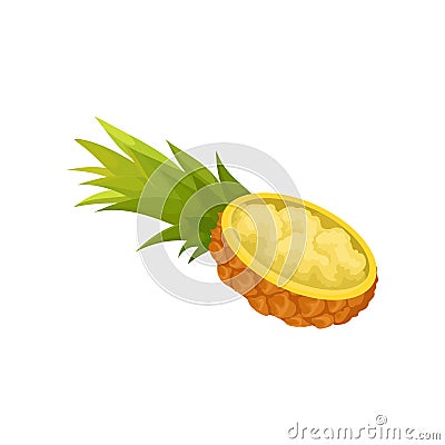 One half of cut lengthwise pineapple with flesh inside. Tropical fruit with tuft of green stiff leaves. Healthy food Vector Illustration