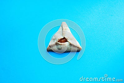 One Hamantashen cookie on a blue background. Festive baking for Purim, Jewish holiday Stock Photo