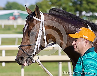 Happy Winners on Cotillion - Derby Day Editorial Stock Photo