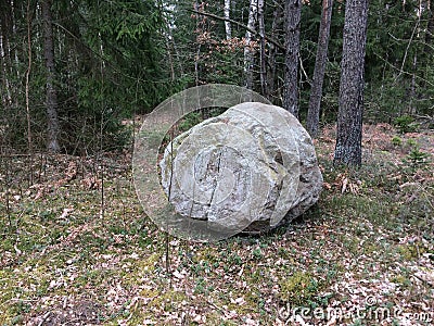 One huge stone in forest Stock Photo