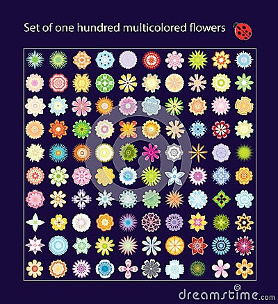 One hundred multicolored flowers Vector Illustration