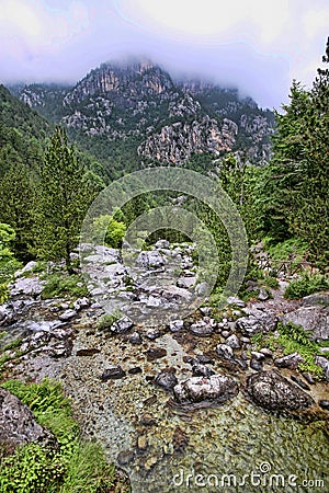 Intact nature under Mount Olympus, Greece Stock Photo