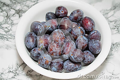 One kilo of plums Stock Photo