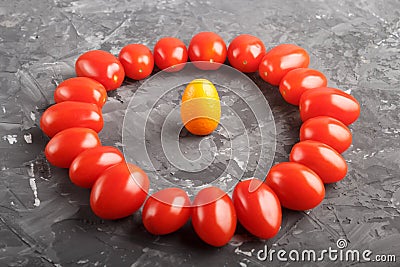 One kumquat in a circle of cherry tomatoes on a black concrete background, contrast, opposition concept Stock Photo