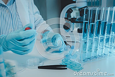One of the laboratories where experiments are being conducted, A science experiment is being conducted in the laboratory, Stock Photo