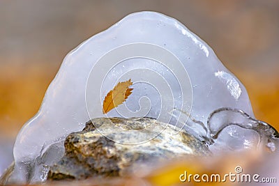 One leaf is frozen in round block of ice in river Stock Photo