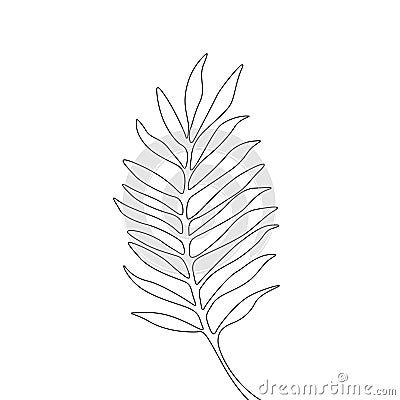 One line drawing areca leaf. Continuous line exotic tropical plant. Vector Illustration