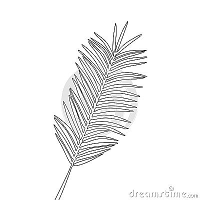 One line drawing areca palm leaf. Continuous line exotic tropical plant. Vector Illustration