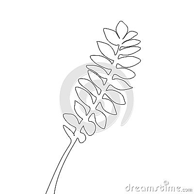 One line drawing tropical branch leaf. Continuous line exotic tropical plant. Vector Illustration