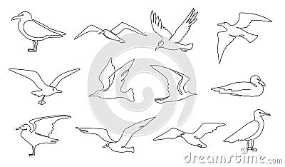 One line seagulls. Flying seabird, nautical bird and beach animal continuous line vector illustration set Vector Illustration