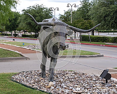 One of many bronze steers, part of the longest bronze sculpture collection in the United States in The Center at Preston Ridge. Stock Photo