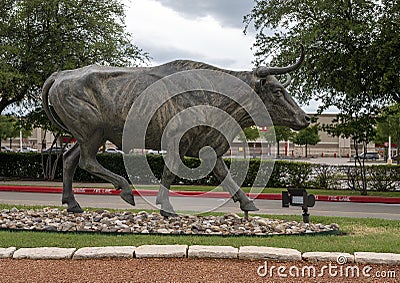 One of many bronze steers, part of the longest bronze sculpture collection in the United States in The Center at Preston Ridge. Stock Photo