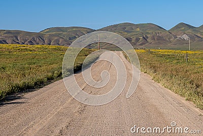 Dirt road lined with wildflowers in Carrizo Plain National Monument Stock Photo