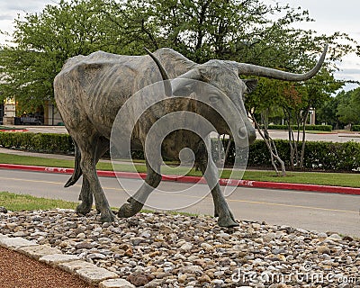 One of many bronze steers, part of the longest bronze sculpture collection in the United States in The Center at Preston Ridge. Stock Photo