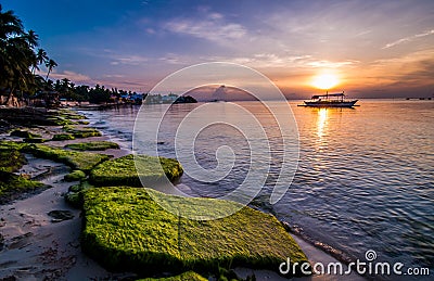 One morning on a Beach Stock Photo