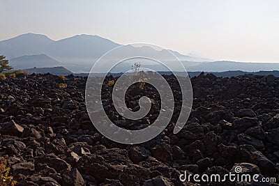 Paricutin volcano in Mexico 08 Stock Photo