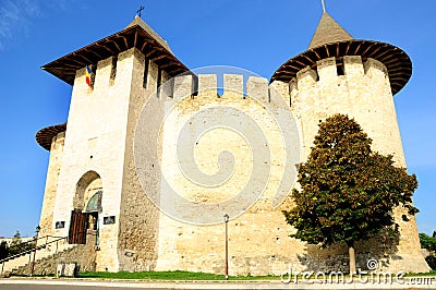 One of the national symbols of Republic of Moldova Stock Photo