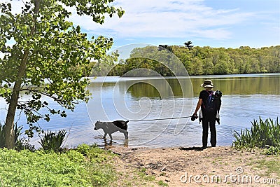 New york long island bludenburgh lake getaway dog Editorial Stock Photo
