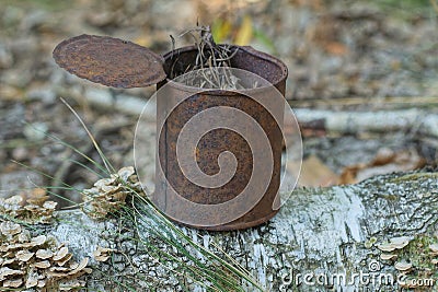 one old brown rusty iron tin can stands on a gray tree branch Stock Photo