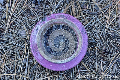 one old lilac ceramic dirty cup stands on gray dry pine needles Stock Photo