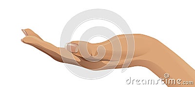 One open human hand Vector Illustration