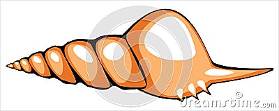 One orange shell isolated on white Vector Illustration