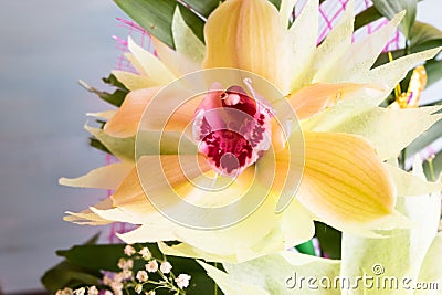 One Orchid closeup of a bouquet of three orchids beautifully decorated on wooden background concept birthday flowers Stock Photo