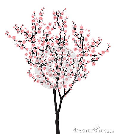 One pink full bloom sakura tree (Cherry blossom) on white background Vector Illustration