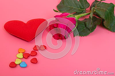 One pink roses with small heart on pink color for background Stock Photo