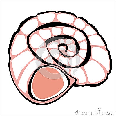 One pink shell isolated on white Vector Illustration