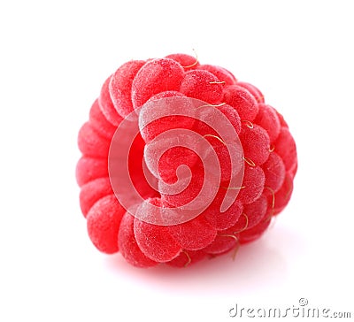 One raspberry Stock Photo